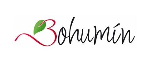 Bohumín